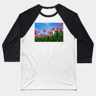 Pink Tulip Fields Baseball T-Shirt